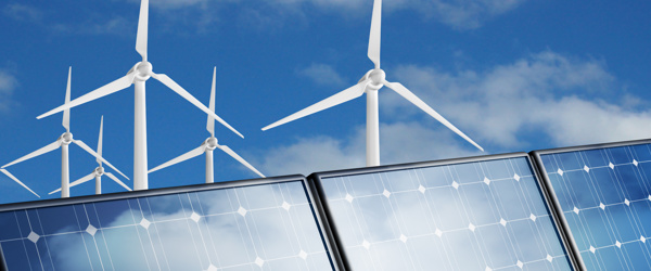 Energy Advisor Program