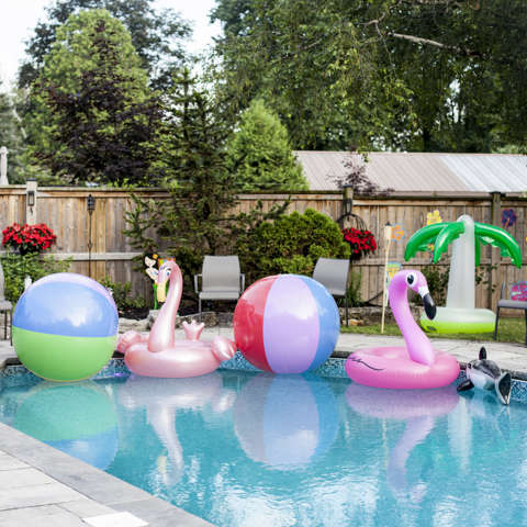 Backyard pool in the summer
